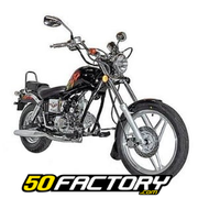 logotipo REGAL RAPTOR motocicleta COPPER 50
